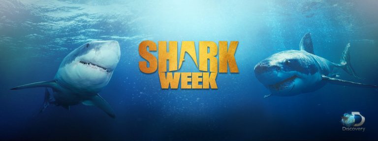 A Brief History Of Discovery Channel’s Shark Week