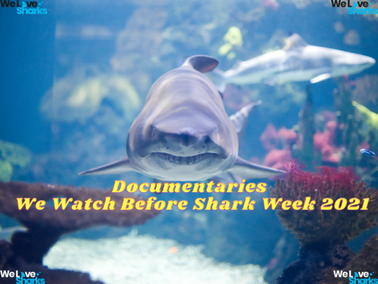 Shark Documentaries to Watch Before Shark Week