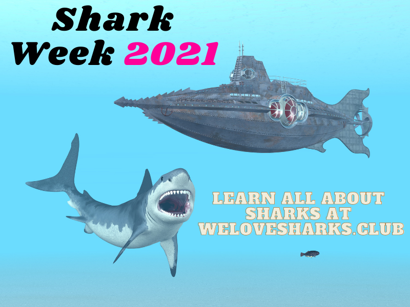 Shark Week 2021 Videos