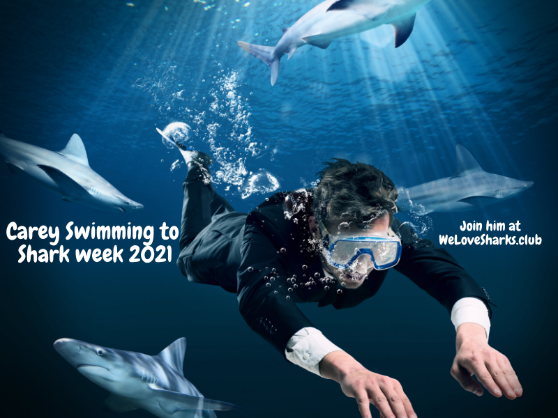 Swim with Shark Week 2021