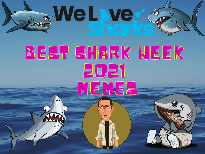 Best Shark Week 2021 Memes