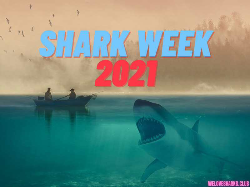Get Ready for Shark Week 2021