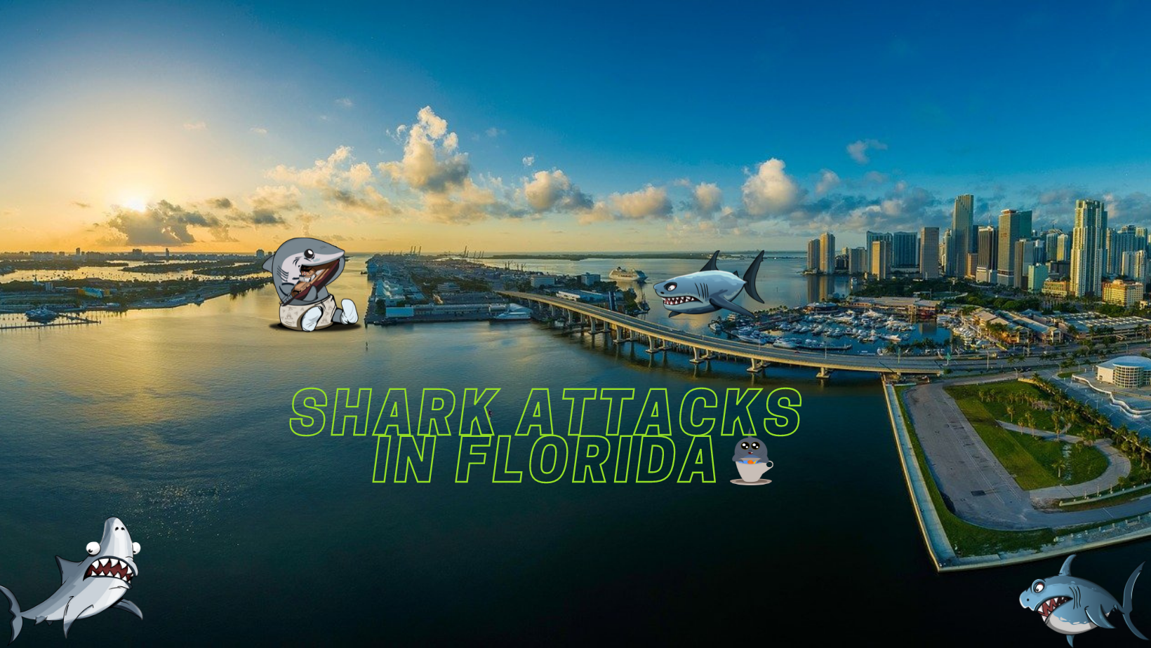 Florida Shark Attacks