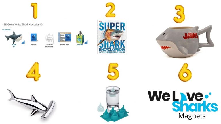 Huge Shark Week 2021 Giveaway