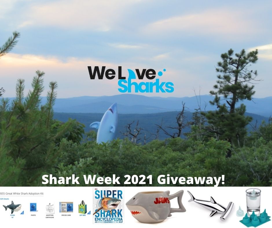 shark week 2021