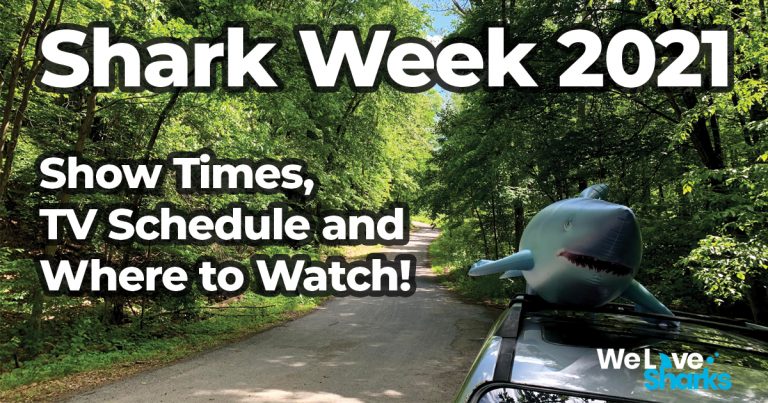 Shark Week 2021 Schedule