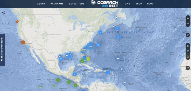 The Shark Tracking App by OCEARCH