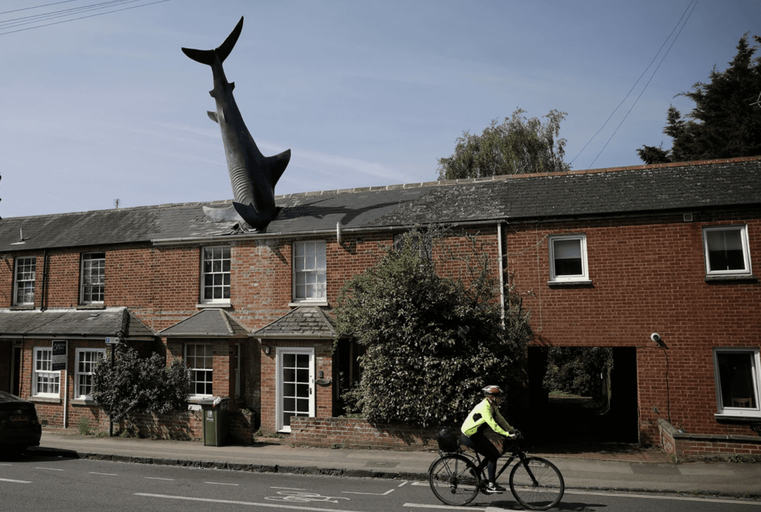 shark sculpture house