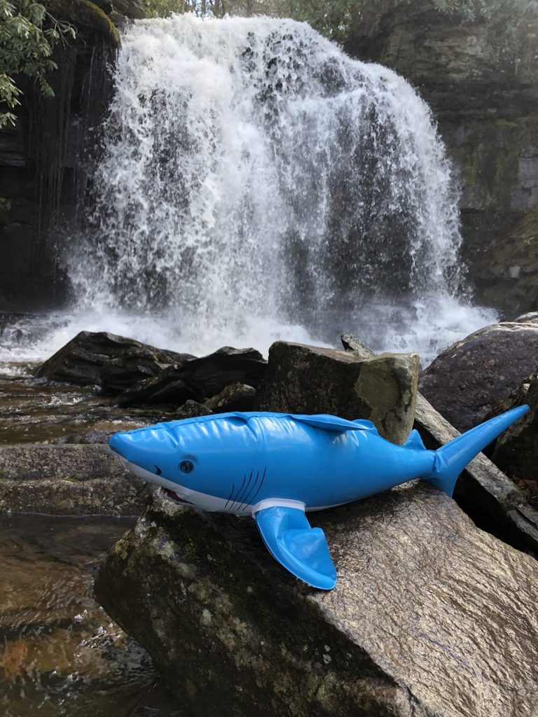 Waterfall Wednesday Hike With our Shark Mascot Nibbles Jr