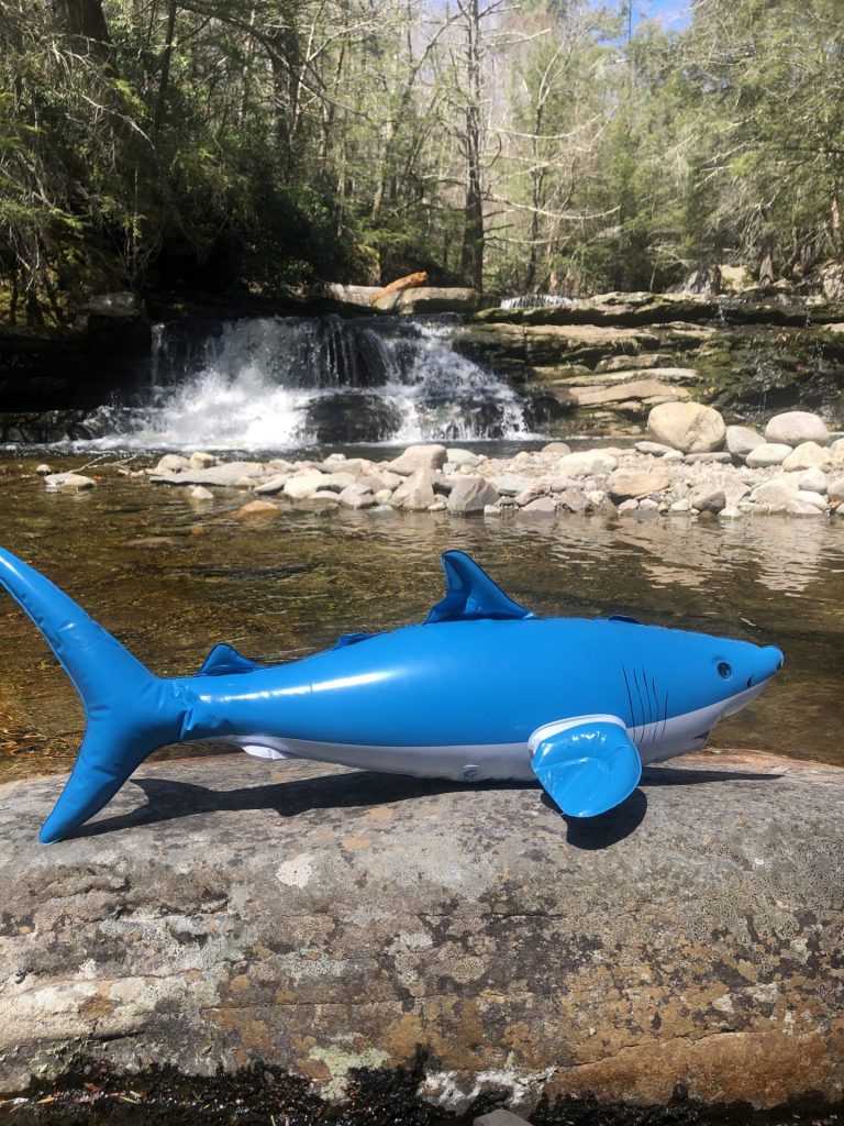 Our Shark Mascot “Nibbles Jr” Visits Vernooy Kill Falls