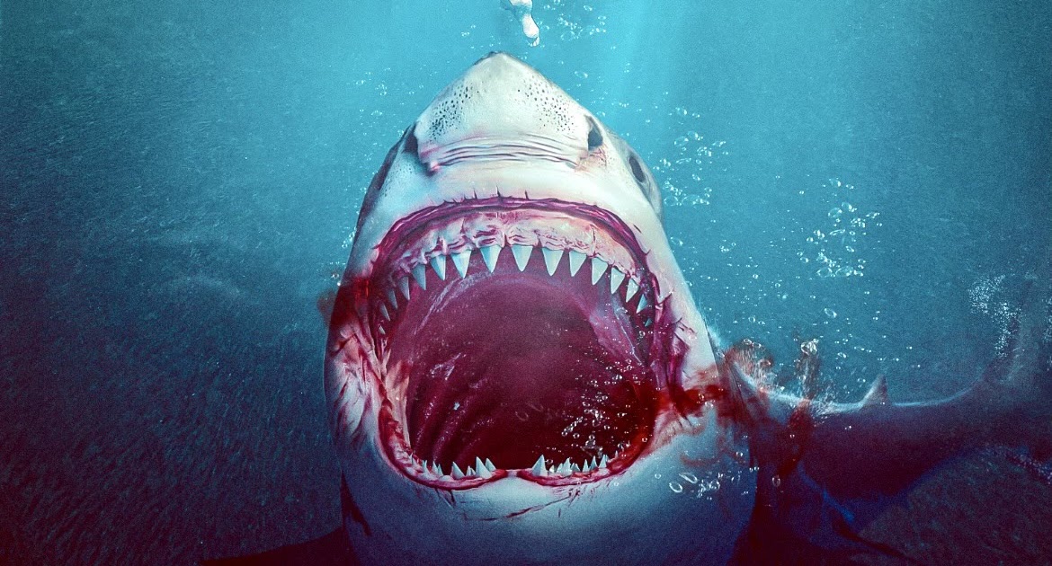 New Shark Movies of 2022 - We Love Sharks!