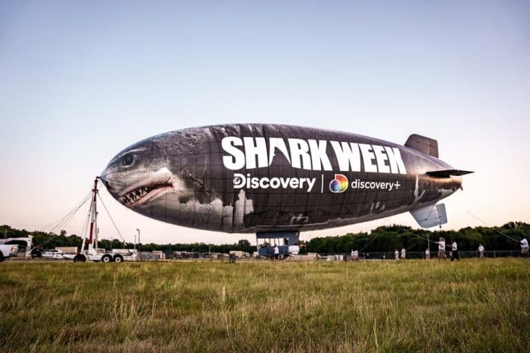 When is Shark Week? The 2023 Shark Week Dates