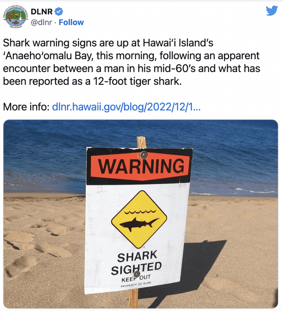 second shark attack in hawaii