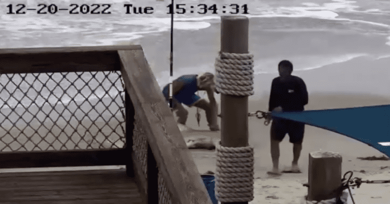 Florida Man Beating a Shark With Hammer Video