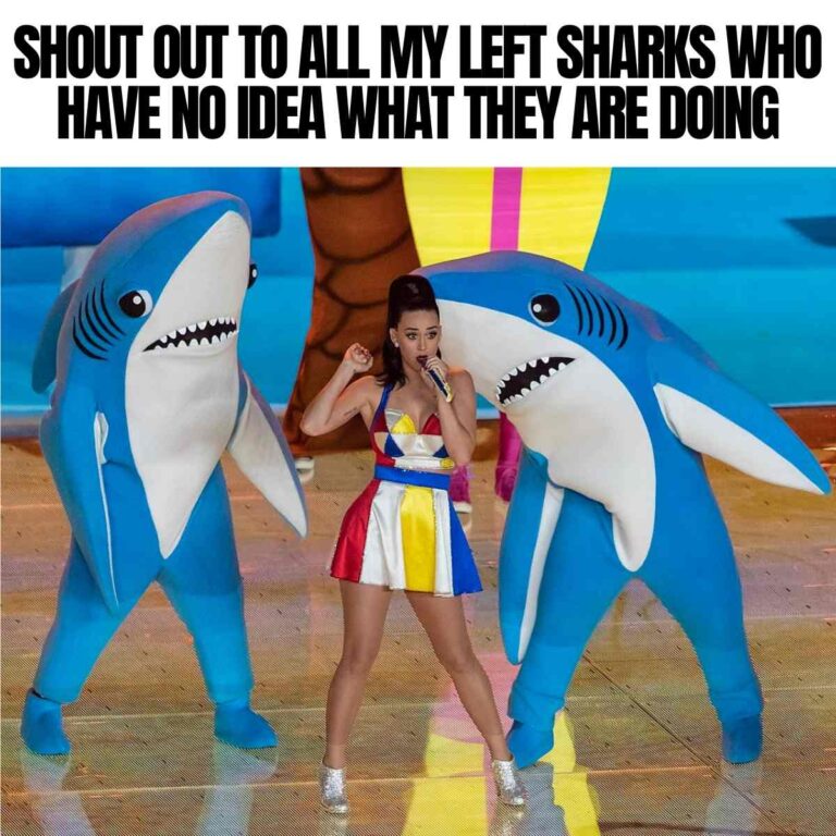 The Best Shark Memes on the Web