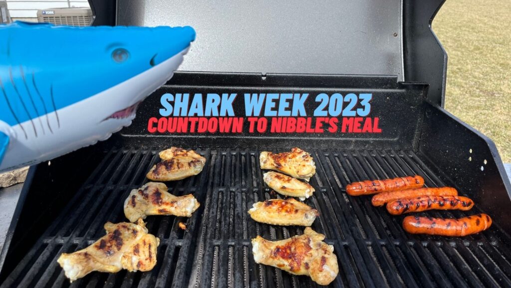 Shark Week 2023 Countdown Timer