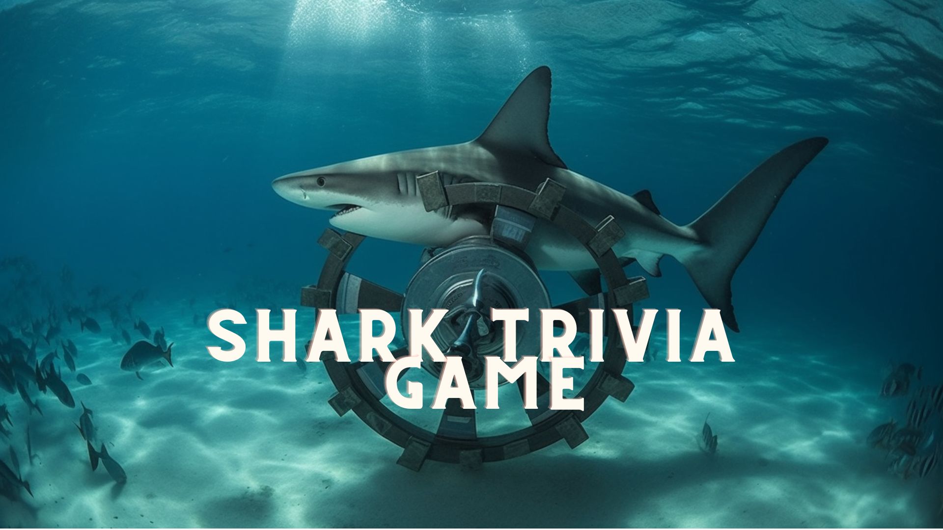 Shark Trivia