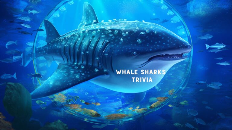 Whale Sharks Trivia: Amazing Facts About the Ocean’s Largest Fish