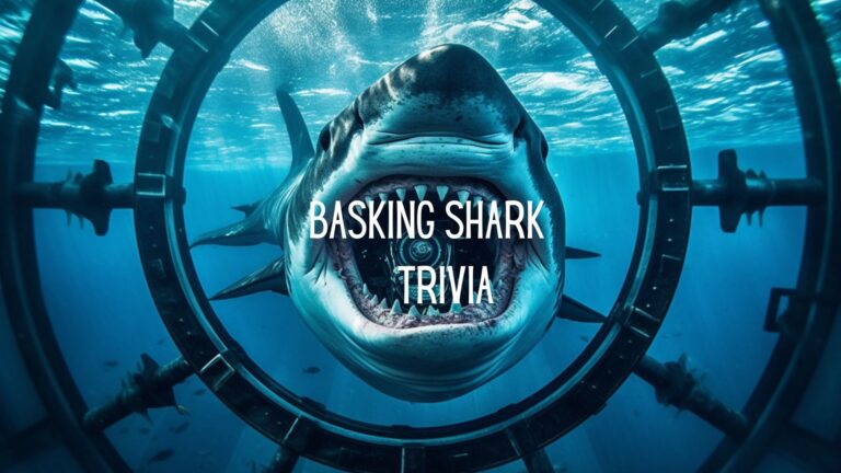 Diving Deeper: 10 Intriguing Questions About the Basking Shark Answered!