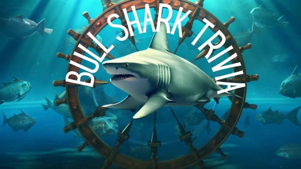 Shark Trivia Questions and Answers